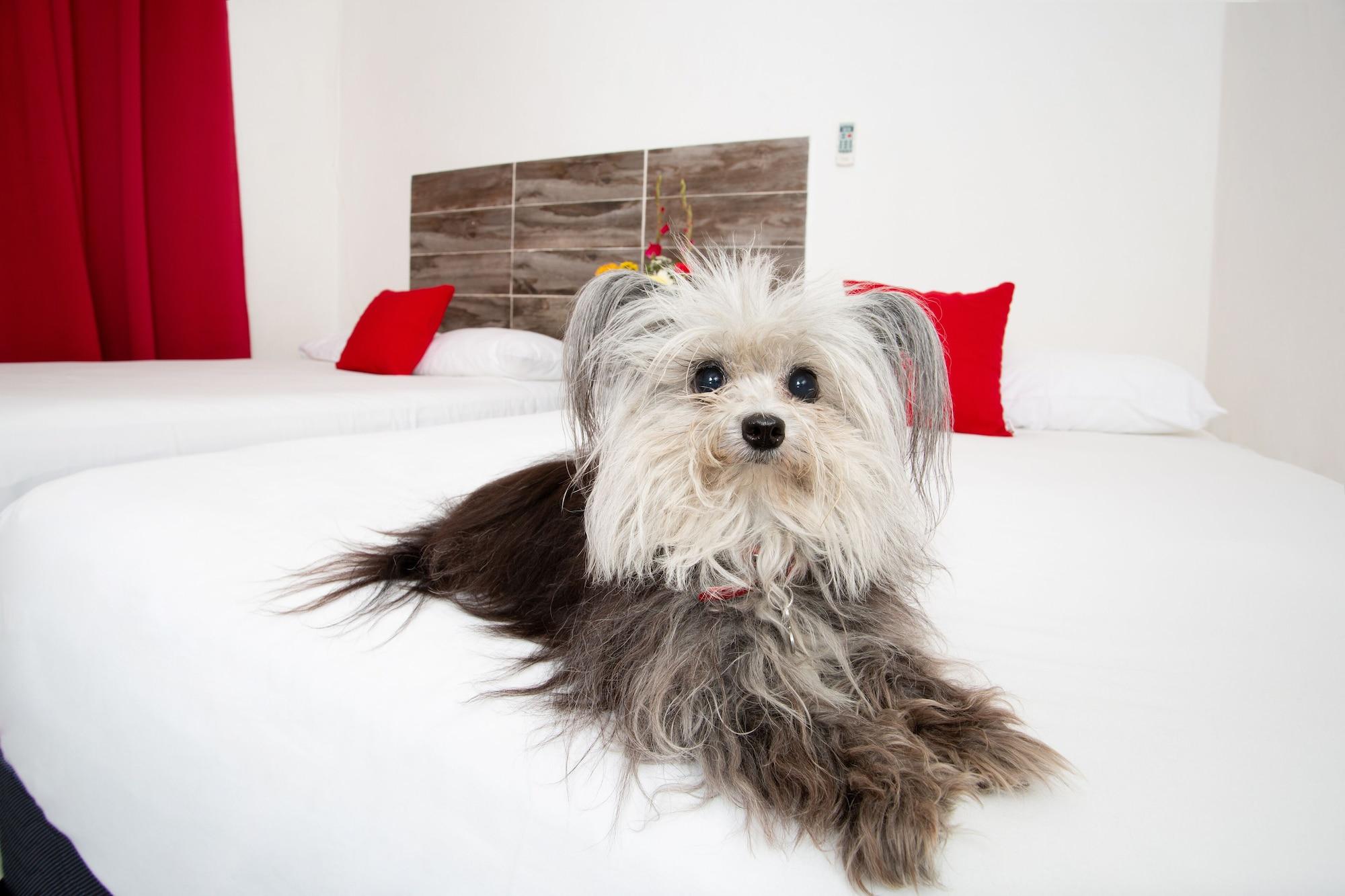 Suite 24 Aparthotel By Xperience Hotels Playa del Carmen Exteriör bild